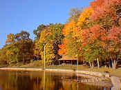 foliage.jpg (27536 bytes)