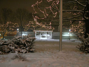 snowy_green_JJW_007
