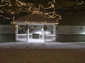 snowy_green_JJW_008