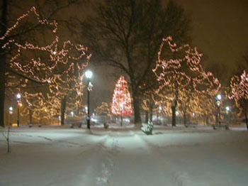 snowy_green_JJW_017