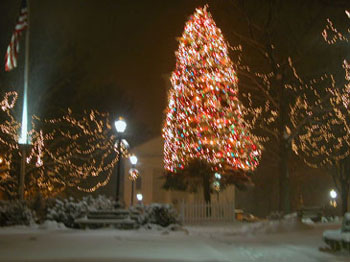 snowy_green_JJW_021