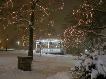 snowy_green_JJW_023