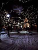 lights-on-green