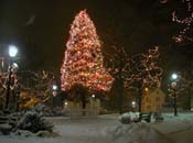 snowy_green_JJW_013