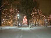 snowy_green_JJW_017