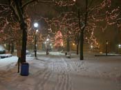 snowy_green_JJW_022