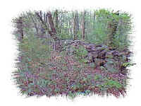 waterco6.jpg (22172 bytes)