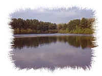 waterco8.jpg (14157 bytes)