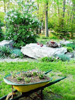 garden-6.jpg (43997 bytes)