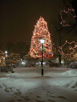 snowy_green_JJW_006