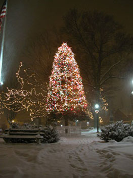 snowy_green_JJW_009