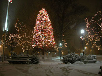 snowy_green_JJW_010