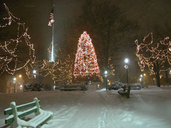 snowy_green_JJW_011