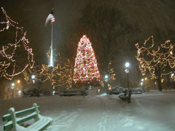 snowy_green_JJW_012