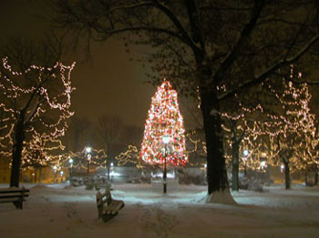 snowy_green_JJW_015