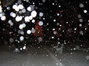 snowy_green_JJW_000