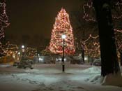 snowy_green_JJW_005