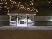 snowy_green_JJW_008
