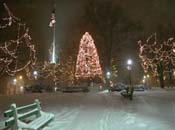 snowy_green_JJW_011
