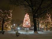 snowy_green_JJW_015