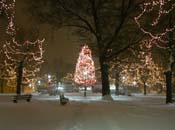 snowy_green_JJW_016