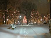 snowy_green_JJW_018