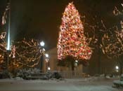 snowy_green_JJW_021