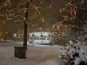 snowy_green_JJW_023
