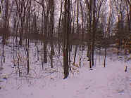 Dec26_21.jpg (23854 bytes)