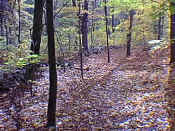hike2-17.jpg (25214 bytes)