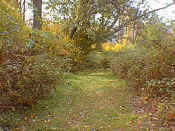 hike2-24.jpg (25374 bytes)