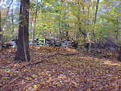 hike2-30.jpg (27913 bytes)