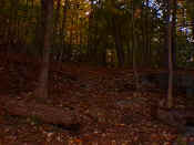 hikeosb8.jpg (21897 bytes)