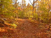 hiking30.jpg (26417 bytes)