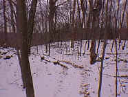 winter15.jpg (24294 bytes)