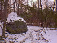 winter17.jpg (25821 bytes)