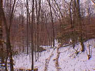 winter18.jpg (27386 bytes)