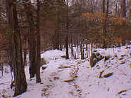 winter19.jpg (24045 bytes)