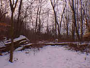 winter25.jpg (24941 bytes)