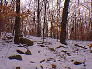 winter28.jpg (26217 bytes)
