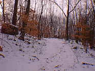 winter29.jpg (26404 bytes)