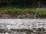 Ousatonic Dam fishing