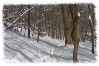 snowhike-030