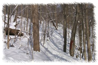 snowhike-031