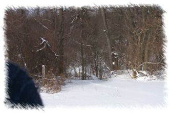 snowhike-039