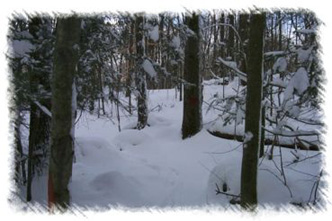 snowhike-053