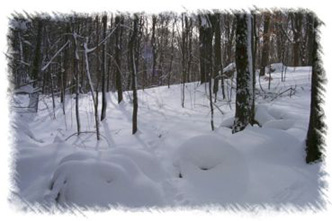 snowhike-054