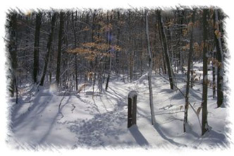 snowhike-058