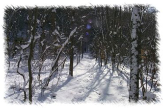snowhike-072