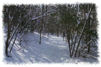 snowhike-076